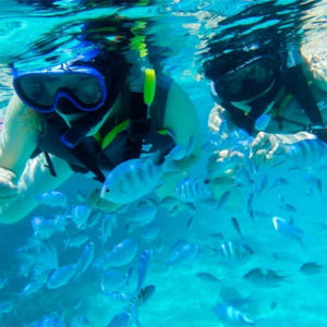 일본 오키나와 이시가키 섬 푸른동굴 바다거북 스노클링 + 해양스포츠 무제... 솔직 후기 | 실사용자 리뷰 분석 - 상품 이미지 2