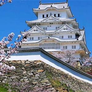 [일본] 효고, 고베 일일투어 | 히메지 성. 아리마 온천. 롯코산의 야... 솔직 후기 | 실사용자 리뷰 분석 - 상품 이미지 1