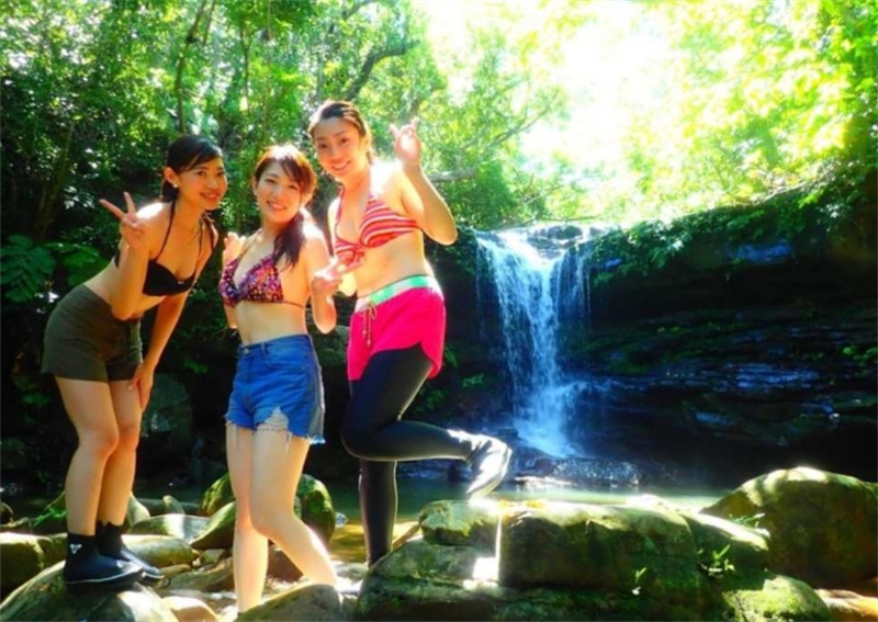 일본 오키나와 이리 오모테 섬 출발 | 맹그로브 SUP or 카누 체험 + 물소 차 + 유후 섬 관광 (유후 섬 입장료 포함 · 우에하라 지역 호텔 송영 포함 · 사진 데이터 무료 이미지 3