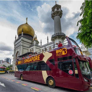 싱가포르 빅버스 시티투어 (오픈탑 / 한국어 오디오 가이드) 솔직 후기 | 실사용자 리뷰 분석 - 상품 이미지 2