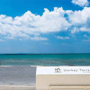 일본 오키나와 1일 셔틀｜북부/중부/남부 3개 노선 선택 가능｜중국어 운... 솔직 후기 | 실사용자 리뷰 분석 - 상품 이미지 3