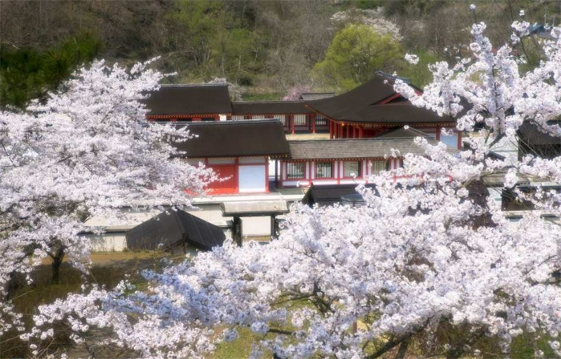 일본 이와테 | 에사시 후지와라 유산 공원 입장권|온라인 할인 이미지 1