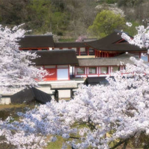 일본 이와테 | 에사시 후지와라 유산 공원 입장권｜온라인 할인 솔직 후기 | 실사용자 리뷰 분석 - 상품 이미지 1