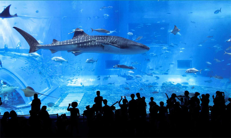 일본 오키나와 1일 셔틀｜북부/중부/남부 3개 노선 선택 가능｜중국어 운... 솔직 후기 | 실사용자 리뷰 분석 - 대표 이미지