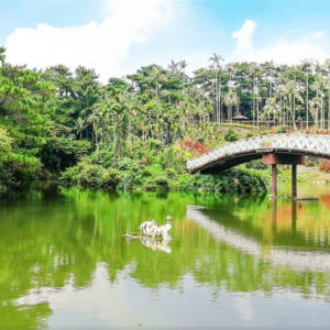 일본 오키나와 1일 셔틀｜북부/중부/남부 3개 노선 선택 가능｜중국어 운... 솔직 후기 | 실사용자 리뷰 분석 - 상품 이미지 2