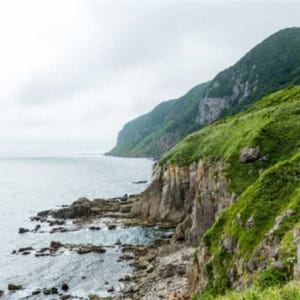 일본 홋카이도 전세차 반나절 관광 | 절과 신사를 둘러보는 고슈인 코스 ... 솔직 후기 | 실사용자 리뷰 분석 - 상품 이미지 3