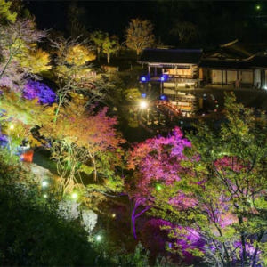 일본 이와테 | 에사시 후지와라 유산 공원 입장권｜온라인 할인 솔직 후기 | 실사용자 리뷰 분석 - 상품 이미지 3