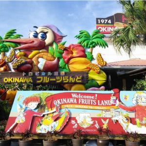 일본 오키나와 후르츠랜드 입장권 | 온라인 예약 솔직 후기 | 실사용자 리뷰 분석 - 상품 이미지 1