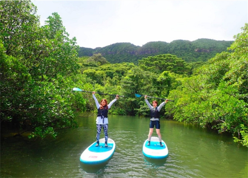 일본 오키나와 이시가키 섬 출발 | 천연 기념물 맹그로브 숲에서 카누 o... 솔직 후기 | 실사용자 리뷰 분석 - 대표 이미지