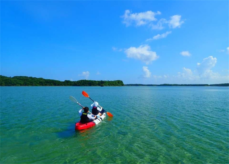 일본 이시가키 섬 출발 | 미슐랭 그린 가이드 미츠 스타의 카와 헤이 만에서 SUP / 카누 크루징 (오전 / 오후 발 · 남부 호텔 송영 포함 · 사진 데이터 무료) 이미지 3