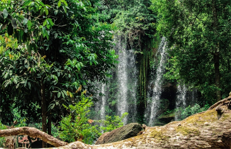 캄보디아 프놈쿨렌 국립공원 티켓 (무료 배송 서비스) 이미지 3