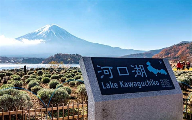 일본  [1인 출발] 도쿄 출발 가와구치호 왕복 | VIP 라이너 고속버스 티켓 | '수제 공예 체험' 무료 (도쿄 출발) 이미지 4