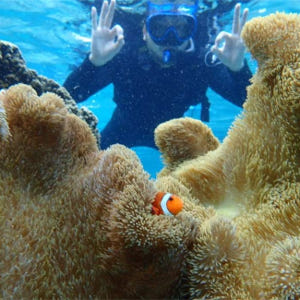 일본 오키나와 미야코지마의 바다에서 스노클링 + 선택 가능한 액티비티 S... 솔직 후기 | 실사용자 리뷰 분석 - 상품 이미지 2