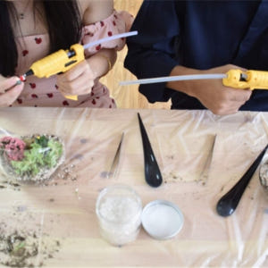 싱가포르  메리마운트 테라리움 원데이 클래스 솔직 후기 | 실사용자 리뷰 분석 - 상품 이미지 3