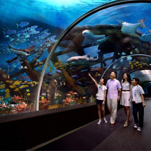 싱가포르 S.E.A. 아쿠아리움 VIP 티켓 솔직 후기 | 실사용자 리뷰 분석 - 상품 이미지 4