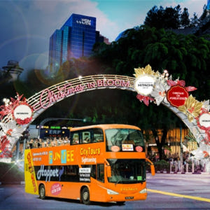 싱가포르  펀비™ 크리스마스 조명 투어 솔직 후기 | 실사용자 리뷰 분석 - 상품 이미지 1