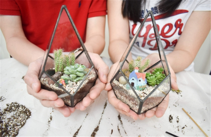 싱가포르 메리마운트 테라리움 원데이 클래스 이미지 4