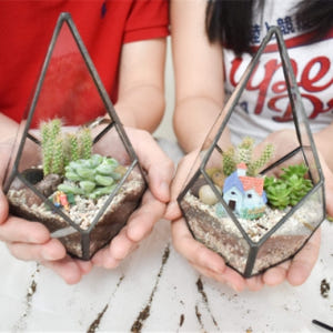 싱가포르  메리마운트 테라리움 원데이 클래스 솔직 후기 | 실사용자 리뷰 분석 - 상품 이미지 4