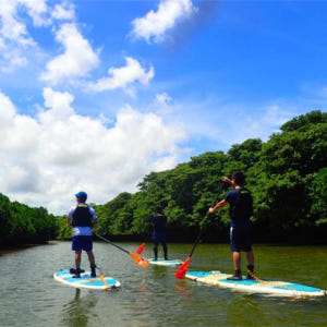 일본 오키나와 이시가키 섬 반나절 개인 투어 | 진한 접촉 회피 · 선택... 솔직 후기 | 실사용자 리뷰 분석 - 상품 이미지 4