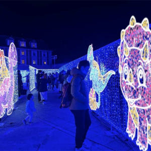 일본 고베 일루미나쥬 입장권 (즉시 확정) 솔직 후기 | 실사용자 리뷰 분석 - 상품 이미지 1