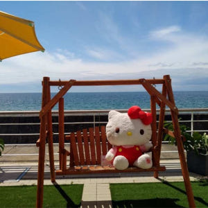 일본  효고 북아와지 무제한 버스 승차권  고속버스  오이소 1일 무제한... 솔직 후기 | 실사용자 리뷰 분석 - 상품 이미지 2