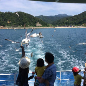 일본  니가타 사사가와 나가레 관광 크루즈 패스 솔직 후기 | 실사용자 리뷰 분석 - 상품 이미지 1