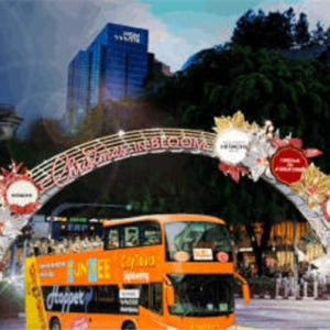 싱가포르  펀비™ 크리스마스 조명 투어 솔직 후기 | 실사용자 리뷰 분석 - 상품 이미지 4