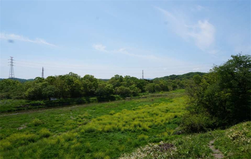 일본 사이타마 마루키 미술관 입장권 (즉시 예약) 이미지 4