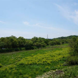 일본 사이타마 마루키 미술관 입장권 (즉시 예약) 솔직 후기 | 실사용자 리뷰 분석 - 상품 이미지 4