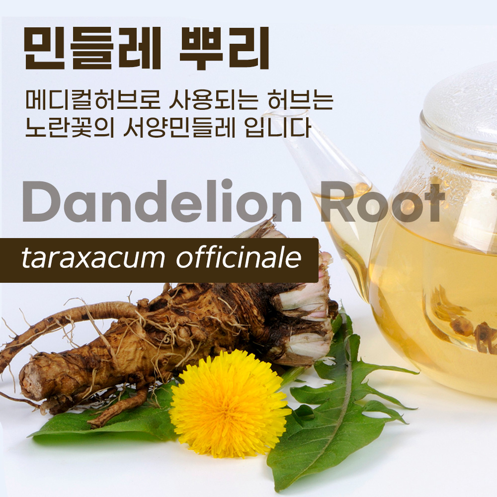 영국 메디컬허브 민들레 뿌리 단델라이온 Dandelion Taraxacum officinale Medical herb 장 간건강 이눌린 자연섭취 - 상세 이미지 2