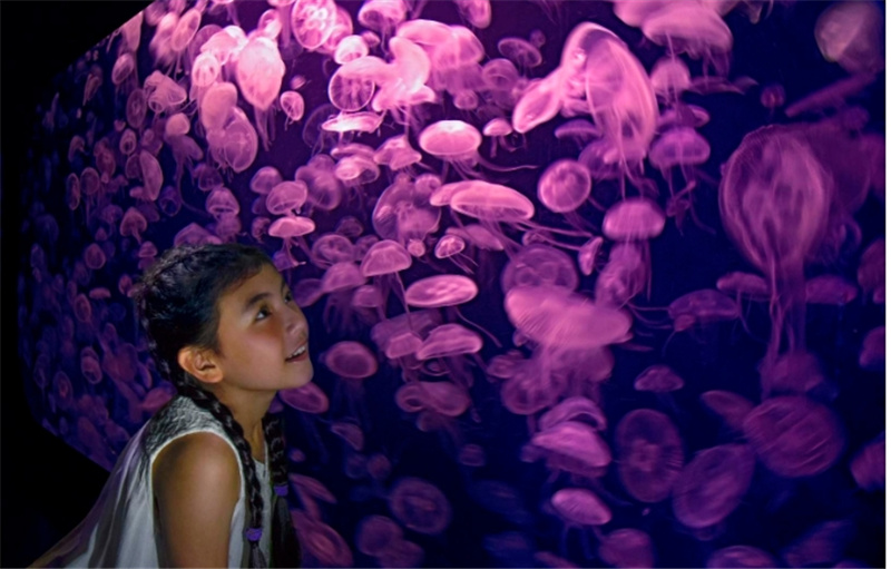 싱가포르 S.E.A. 아쿠아리움 VIP 티켓 이미지 2