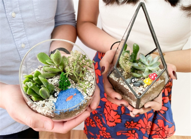 싱가포르 메리마운트 테라리움 원데이 클래스 이미지 2