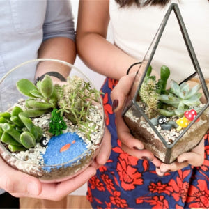 싱가포르  메리마운트 테라리움 원데이 클래스 솔직 후기 | 실사용자 리뷰 분석 - 상품 이미지 2