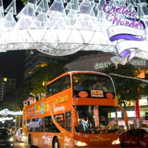 싱가포르  펀비™ 크리스마스 조명 투어 솔직 후기 | 실사용자 리뷰 분석 - 상품 이미지 3