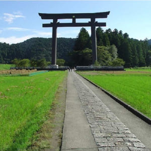 일본 와카야마 【프라이빗 투어】구마노코도 2일 워킹투어 (오사카발 왕복) 솔직 후기 | 실사용자 리뷰 분석 - 상품 이미지 4