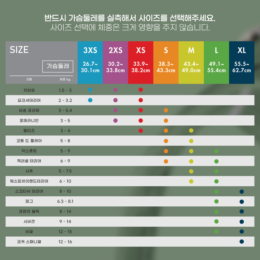 스위스 큘리 시그니쳐 하네스 모스 - 상세 이미지 4