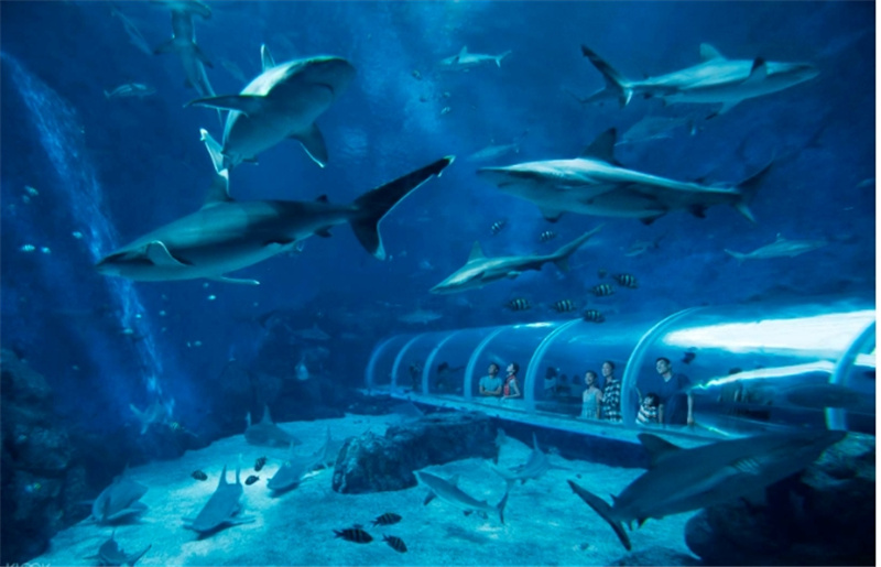 싱가포르 S.E.A. 아쿠아리움 VIP 티켓 솔직 후기 | 실사용자 리뷰 분석 - 대표 이미지