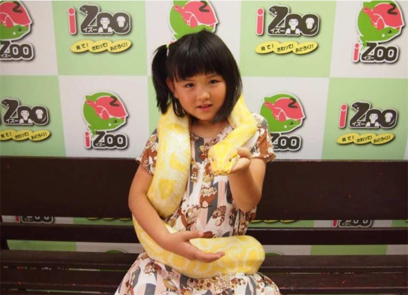 일본 시즈오카 iZoo & KawaZoo 상호 입장권 | 당일 이용 가능 이미지 4