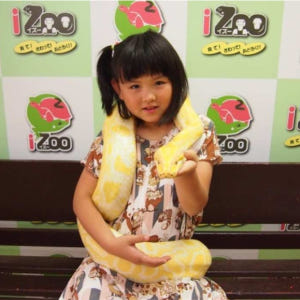 일본 시즈오카 iZoo & KawaZoo 상호 입장권 | 당일 이용 가능 솔직 후기 | 실사용자 리뷰 분석 - 상품 이미지 4