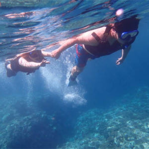 일본 오키나와 이시가키 섬 반나절 개인 투어 | 진한 접촉 회피 · 선택... 솔직 후기 | 실사용자 리뷰 분석 - 상품 이미지 1