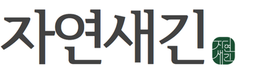 1+1 브로멜라인 퀘르세틴 파인애플 파파인 아이 노스릴리브 소포레틴 60정, 2개