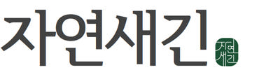 2+1 애사비 애플사이다 비니거 유기농 애사비 정 사과초모식초 캡슐 60알약속 60정, 3개 — 새콤한 맛 부담 없이 애사비 챙기는 법