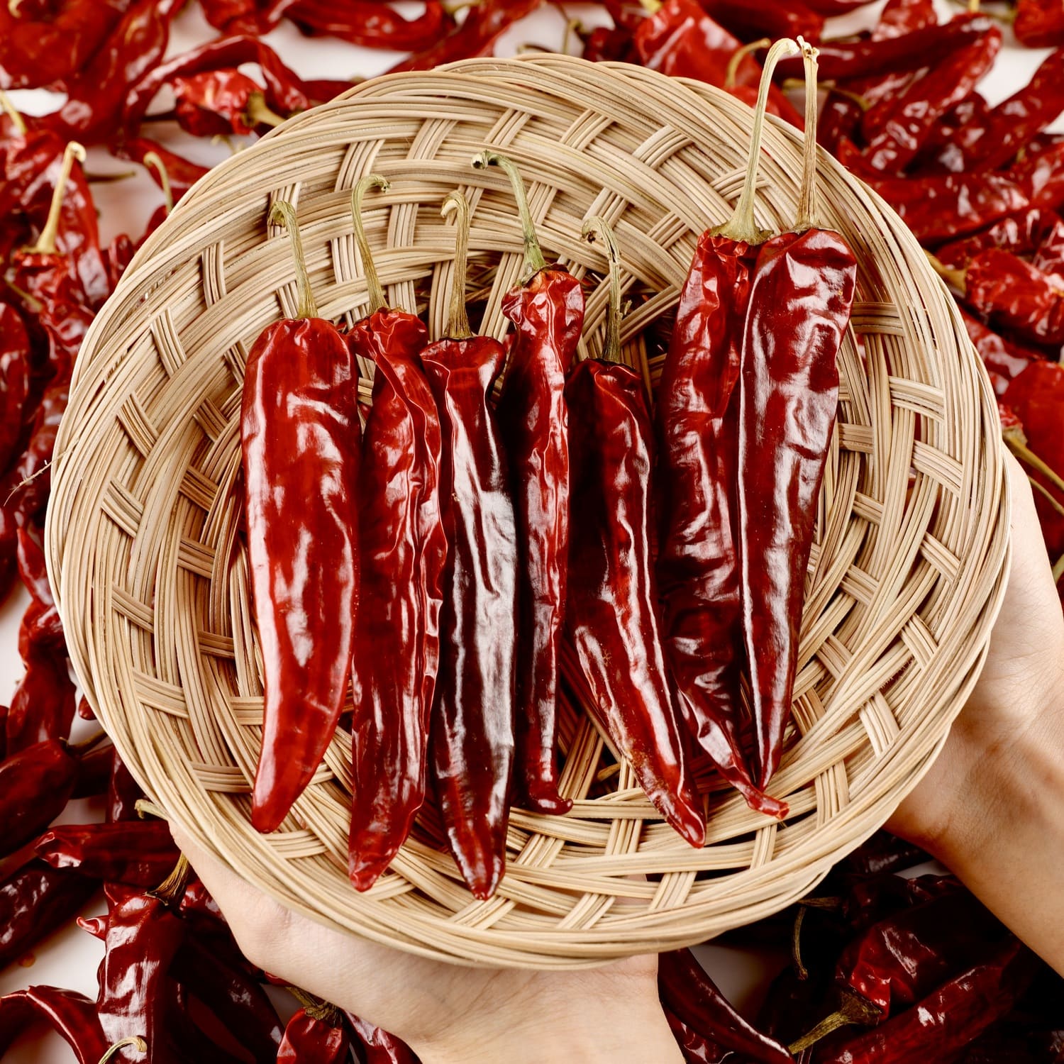 태양초 고춧가루 1kg 농협 햇고추가루 국산청양고추가루 : 식당사장들