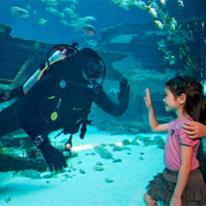 싱가포르 S.E.A. 아쿠아리움 VIP 티켓 솔직 후기 | 실사용자 리뷰 분석 - 상품 이미지 3