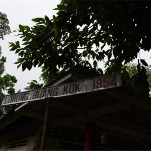 싱가포르  더 래스트 캄퐁 오브 싱가포르 프라이빗 투어 솔직 후기 | 실사용자 리뷰 분석 - 상품 이미지 2