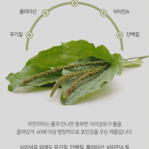 차전자피 가루 파우더 분말 질경이 섬유질 차전차피 2팩 맛있게 먹은 솔직 후기 - 상품 이미지 3