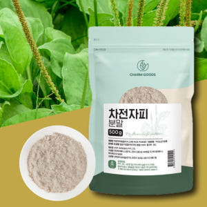 차전자피 가루 파우더 분말 질경이 포만감 차전차피 맛있게 먹은 솔직 후기 - 상품 이미지 1