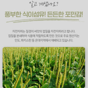 차전자피 가루 파우더 분말 질경이 섬유질 차전차피 2팩 맛있게 먹은 솔직 후기 - 상품 이미지 2