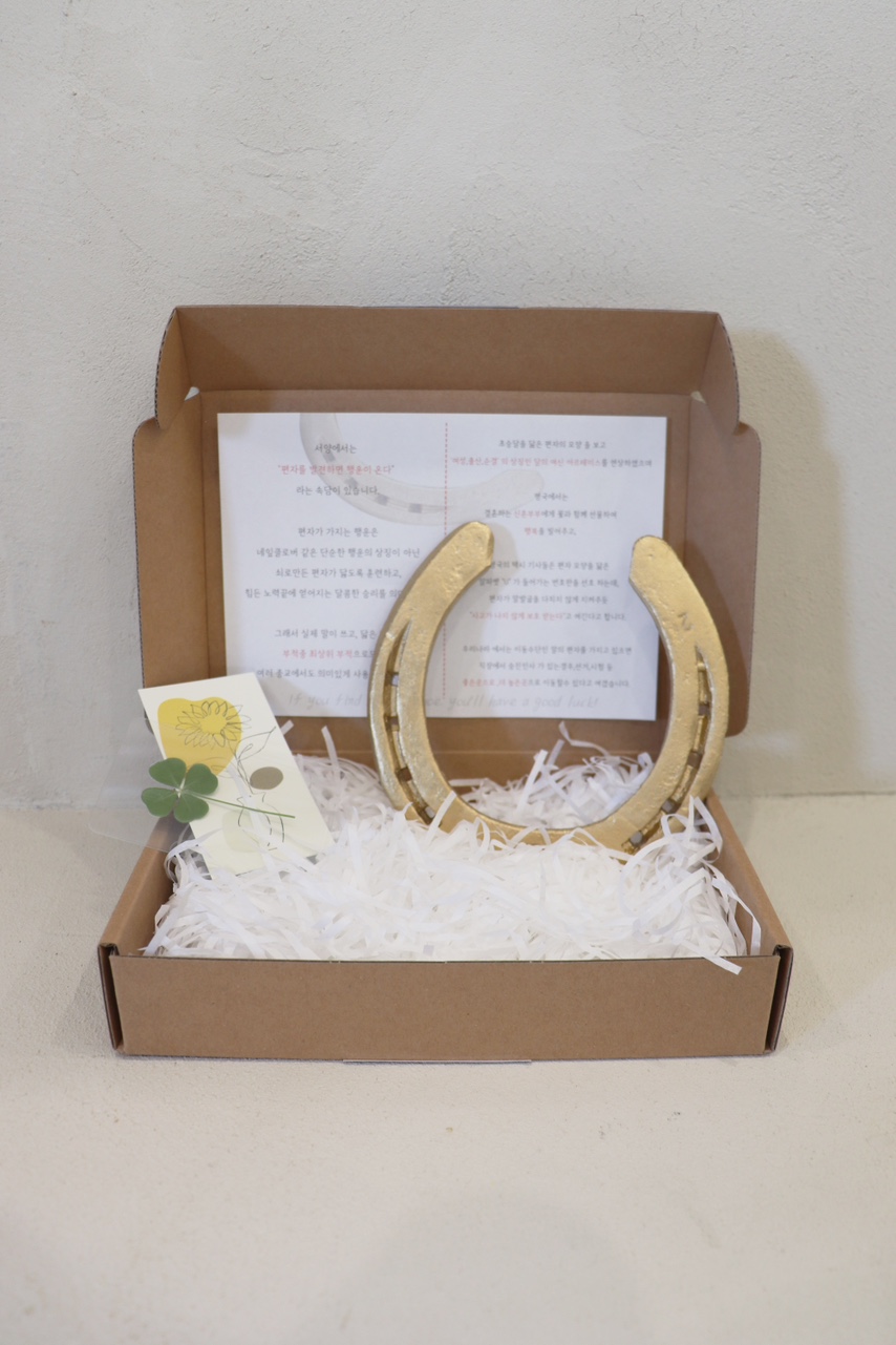 [수험생][사업운] 한라산 기운 듬뿍 담은 제주도 말 이 실제 사용한 자석 말편자