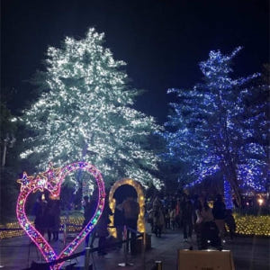 일본 미에 일일 투어 미쓰이 아울렛 파크 나바나노사토(나고야 출발) 솔직 후기 | 실사용자 리뷰 분석 - 상품 이미지 3